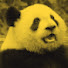 pwiqLVY7YHI-channel-avatar-DJ Zippy