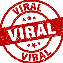Only Viral Video To Day