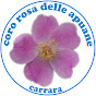 Coro Rosa delle Apuane logo