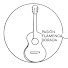 I_adITvFZJ0-channel-avatar-Pasión Flamenca Dorada