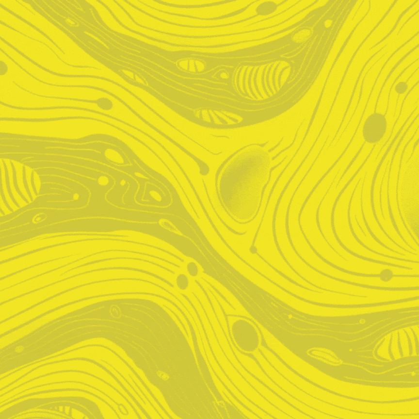 post-from-aychristene