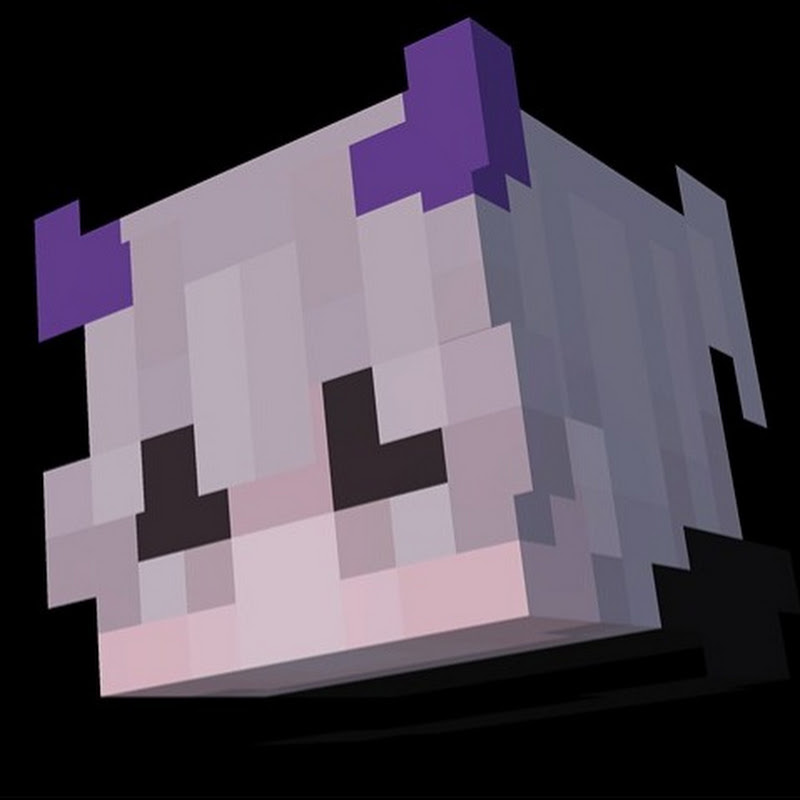 Hire CraftMouseGG — Minecraft Content YouTube creator for sponsorships