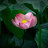 @tedkore0566