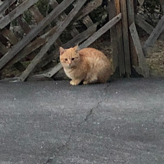 あつちやん