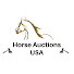 7P15LUIXDKk-channel-avatar-Horse Auctions USA