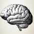 QFVtW-HhkZ8-channel-avatar-Amiothenes