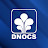 dnocs