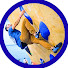 9lQNlSoe4Yw-channel-avatar-Climb Plastic Rocks