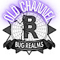 (Old Channel) Bug Realms
