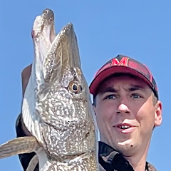 Suburban Bassing