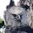 @yourharpyeagle