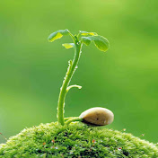 HT Garden