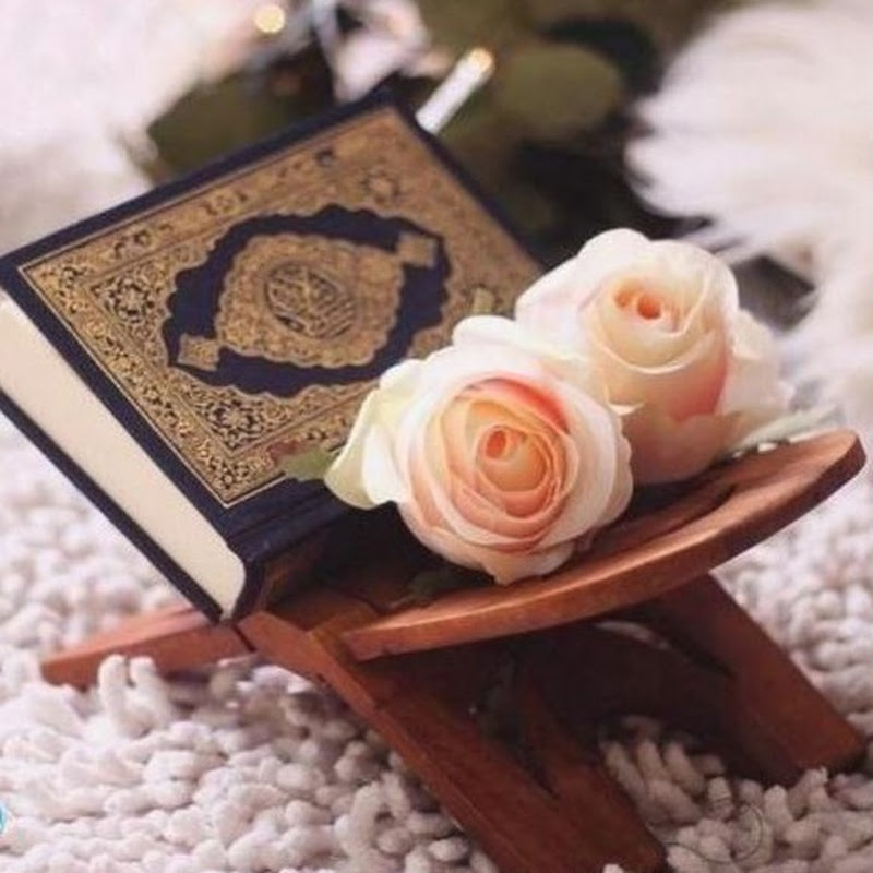 تفسير الاحلام مع نونا