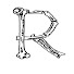 p43b2qL_rvk-channel-avatar-Rutgers RWJ Orthopaedic Surgery
