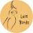 @luis_birds