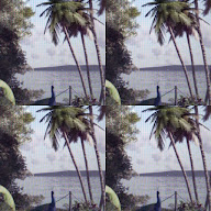 thumbnail img1x1