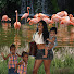 wZNf7kkoXUo-channel-avatar-Damia’s Angelssss