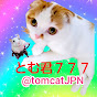 とむ君777(tom.cat)
