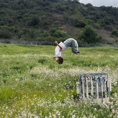 Roman Cote