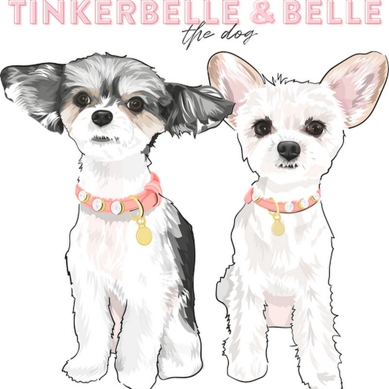 TinkerbelletheDog