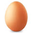 tEK8FloXmAE-channel-avatar-The Egg Life