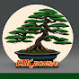 LTK Bonsai Image Thumbnail