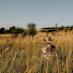 GpCb9zQXjLM-channel-avatar-Simply Canvas Farm Retreats | French Countryside 