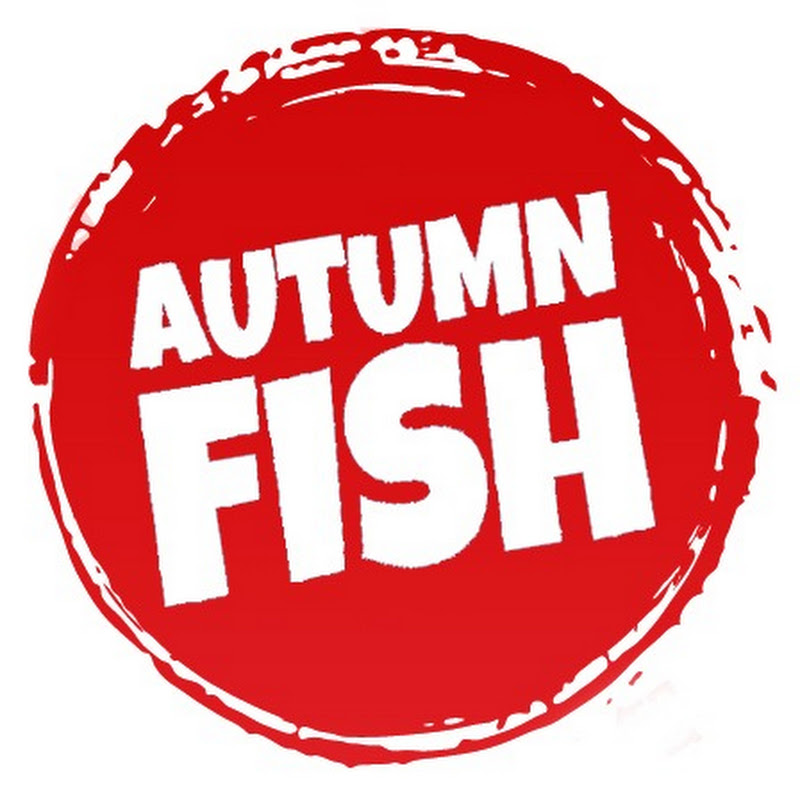 Travels in China l 秋鱼旅行