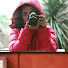 Y54SetlUFGo-channel-avatar-Narges's Travelogue Channel 