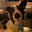 NTlQpDtx668-channel-avatar-sable ★
