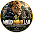 u2JGn9JBGAc-channel-avatar-Wild Mind Lab
