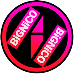 BIGNICO