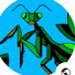 d1uCzU8WYuo-channel-avatar-Hollywood Movie Explainer