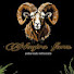 ZgNNwOMGGsQ-channel-avatar-kandang domba Nagira Farm 