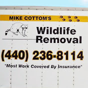 The Cottoms Wildlife Removal Company in Ohio