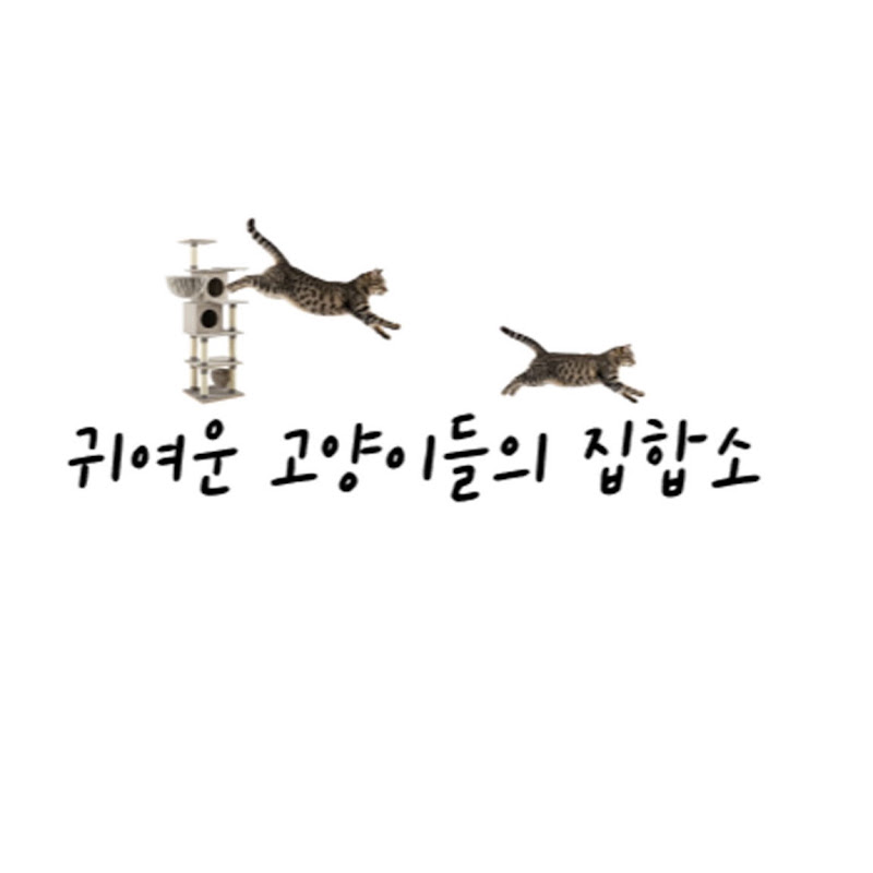 귀여운 고양이들의 집합소