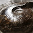 28YrMSISooc-channel-avatar-The Yorkshire Fossil Hunter