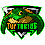 Top Tortue
