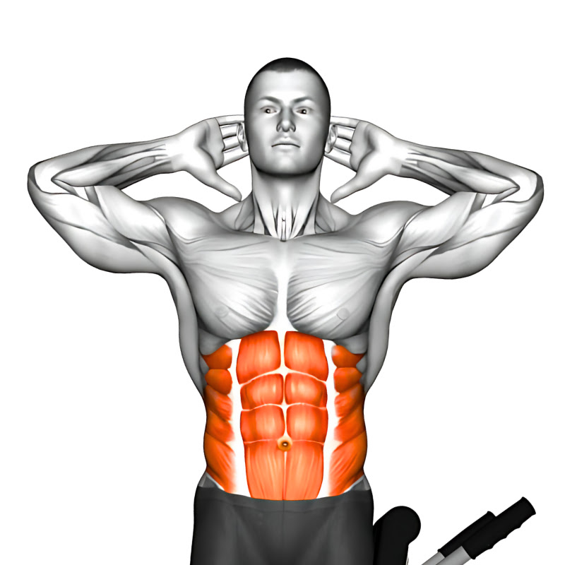 Healthy And Happy Life