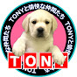 tony.labrador