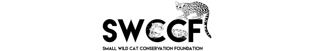 Small Wild Cat Conservation Foundation Avatar de chaîne YouTube