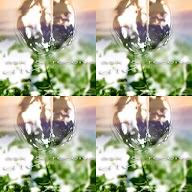 thumbnail img1x1