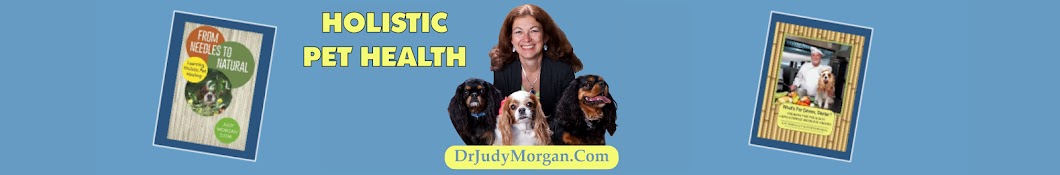 Judy Morgan D.V.M. YouTube channel avatar