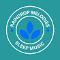 Raindrop Melodies logo