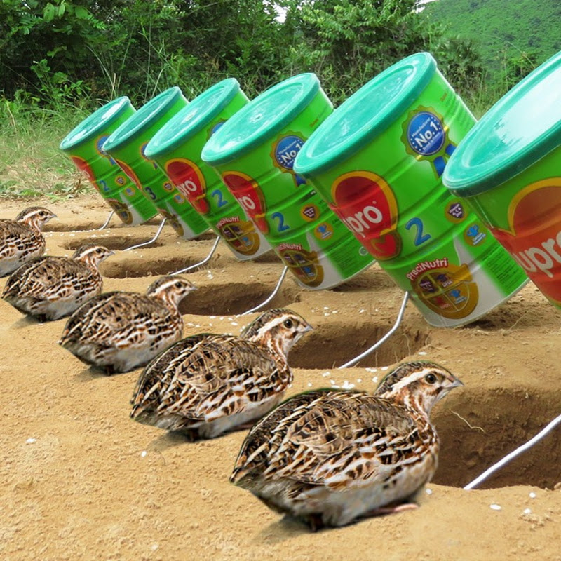 KH Survival