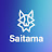 Help Saitama