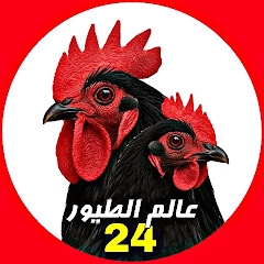 عالم الطيور 24