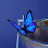 blO9mEUuf6w-channel-avatar-ellnnx