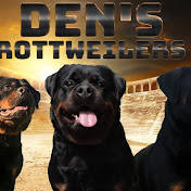 Thee Den Rottweilers