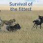 Survival of the fittest Biology Channel logo